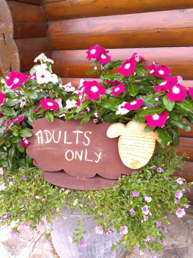 Au Paradou Du Bucheron Adults Only Lessive Exterior foto